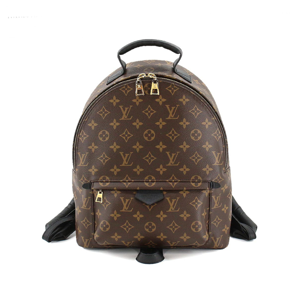 Louis Vuitton Monogram Palm Springs Backpack MM Brown